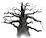 drzewo