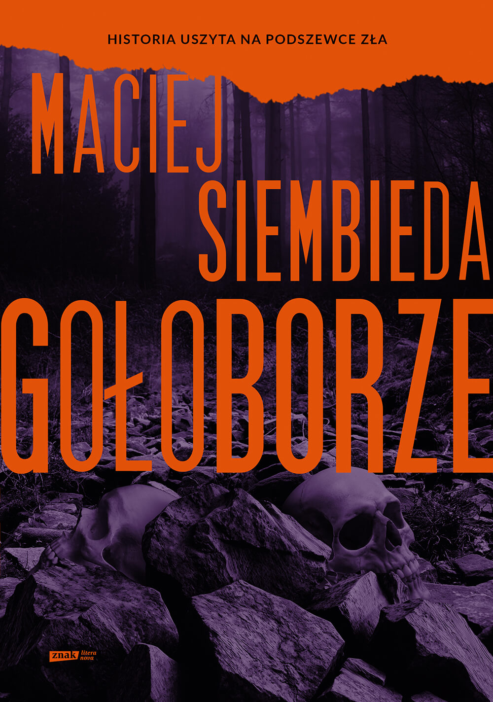 Okładka: Gołoborze
